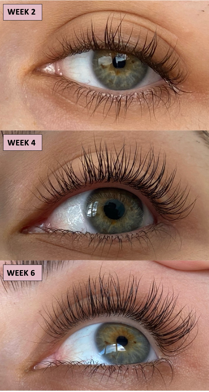 LASHES BY STAZ EYELASH SERUM
